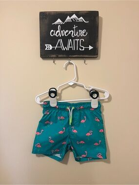Cat & Jack Teal Kids Swim Shorts with Pink Flamingo Print